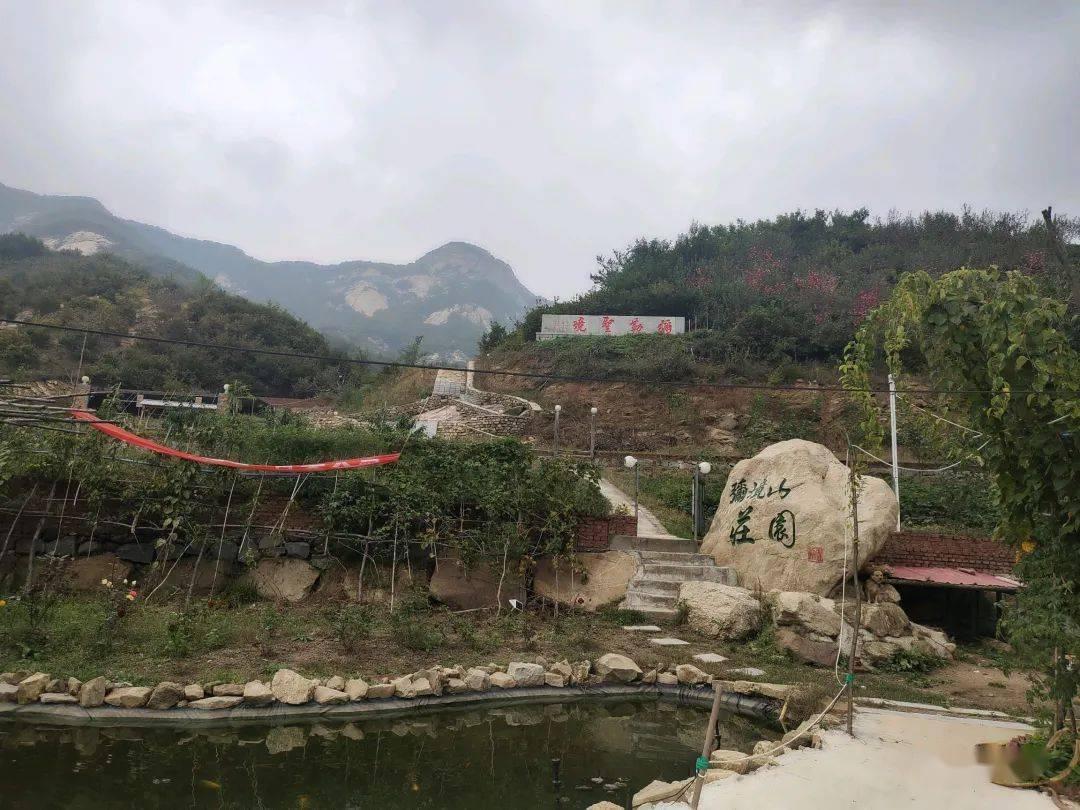 红色鹦鹉逃脱